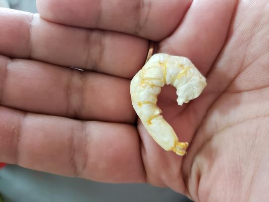 PureBites Shrimp Freeze-Dried Treats for Cats - 3-Pack (1.14 oz)