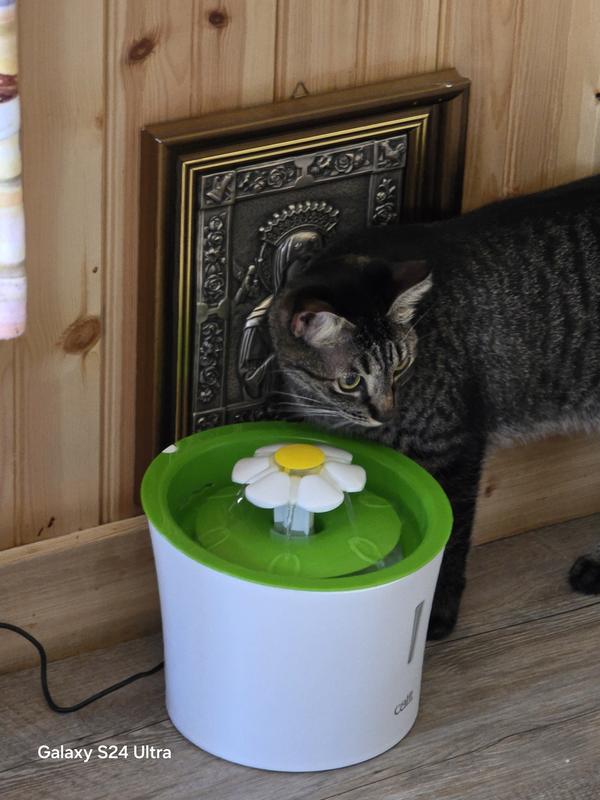 Catit Flower Fountain Catit Led Water Fountain Catit Small Cat