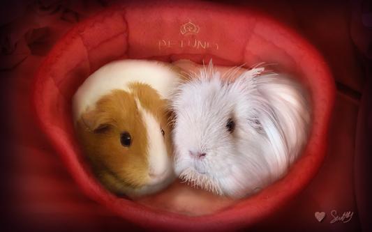 Me (left) and my beloved boyfriend Leo