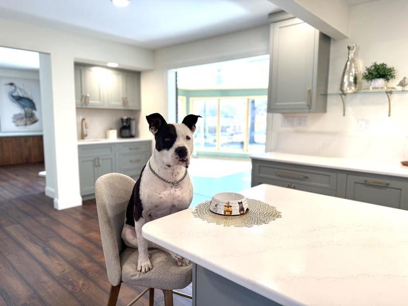 Serve me up some of my favorite!