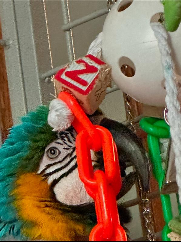 Keeta’s favorite toy