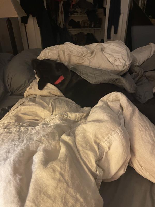 He wasn’t terribly bothered by it being on