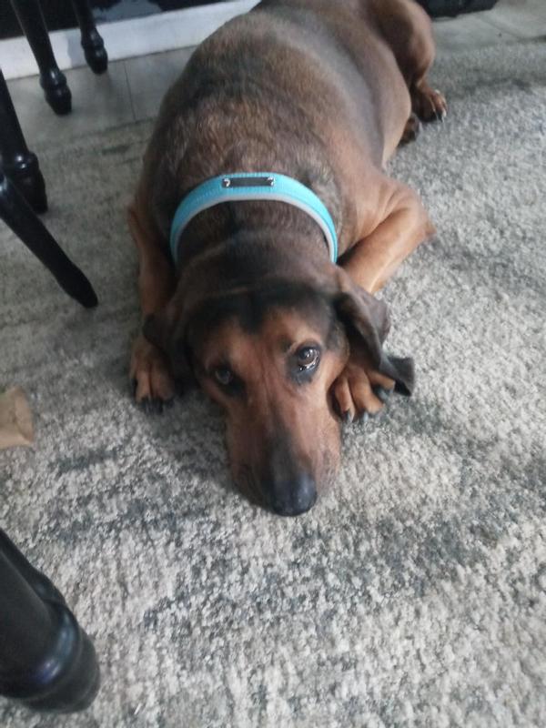 An unappreciative but sanitized Murphy