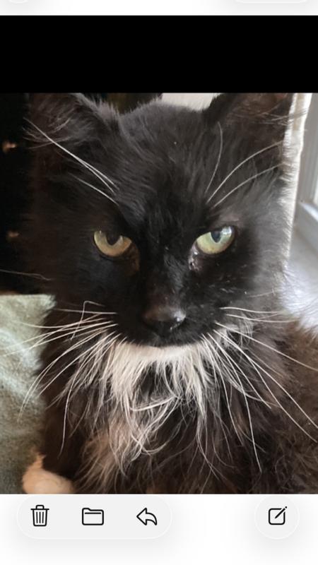 My foster Coal