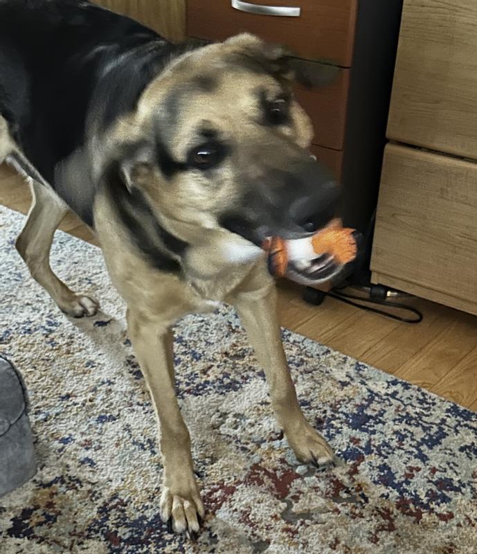 It squeaks!