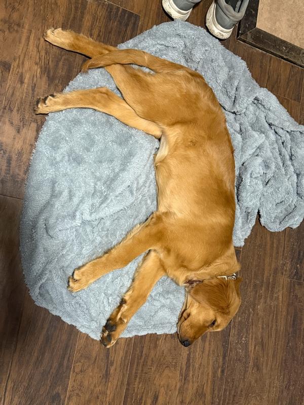 Works fine with the Golden