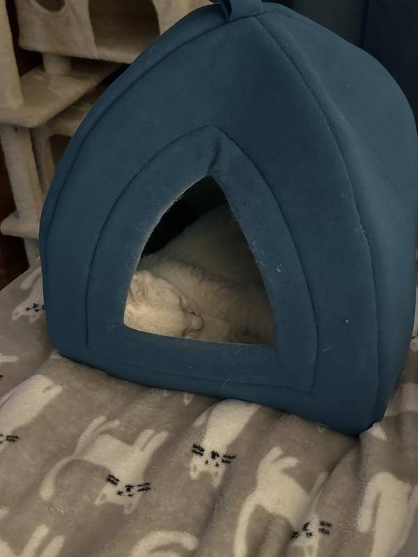 Abigail loving her tent bed.