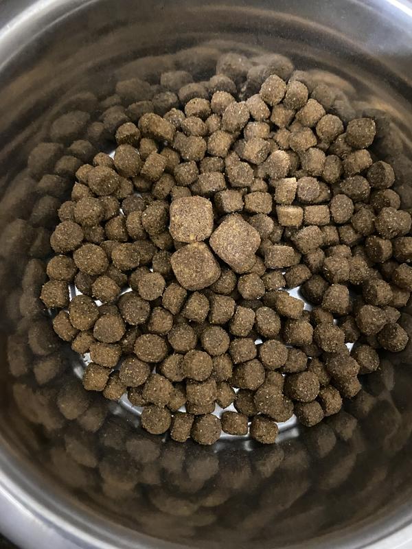 For size reference, showing 3 chews sitting in a bowl of kibble