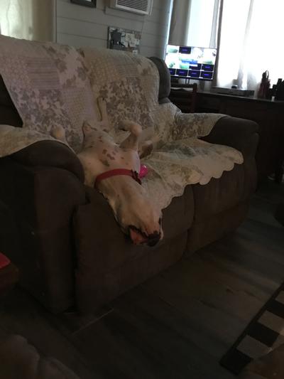 Must be comfortable
