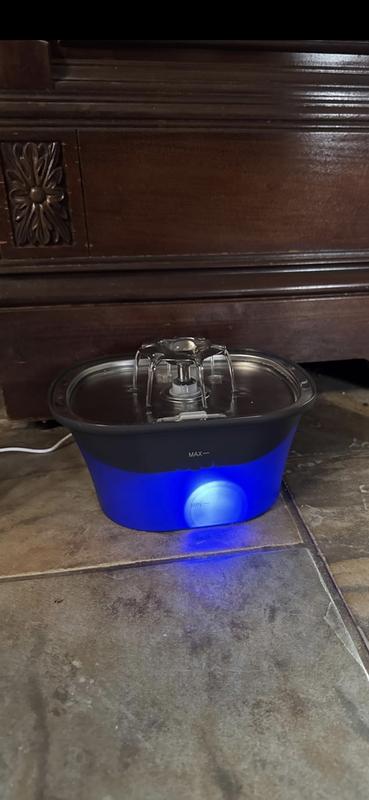 Fountains encourage them to drink