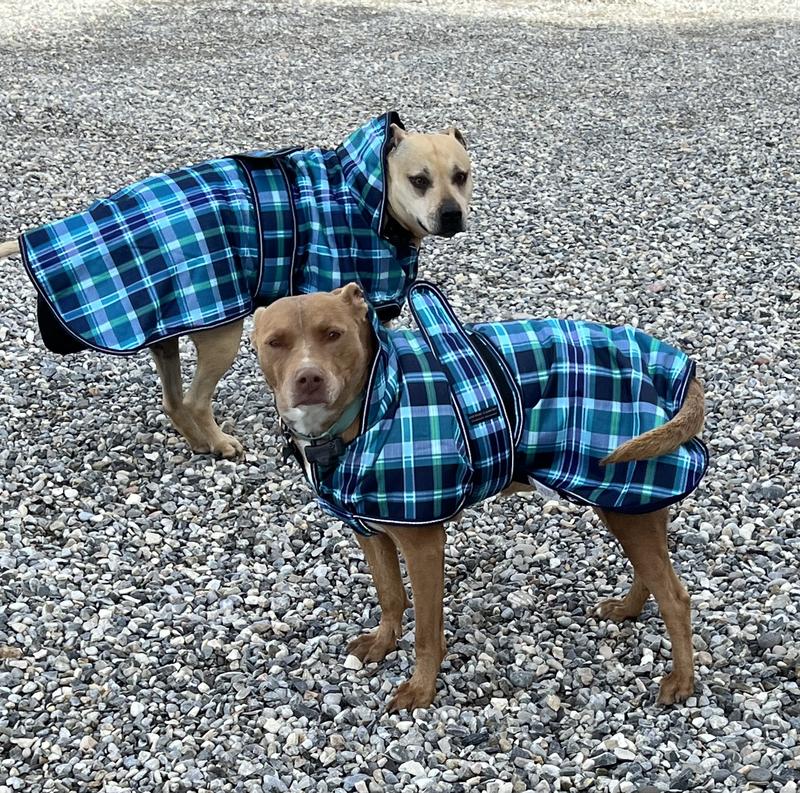 Kodiak hot sale dog coat