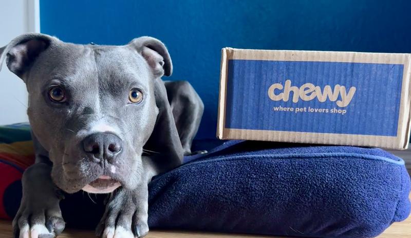 Juice’s chewy package!