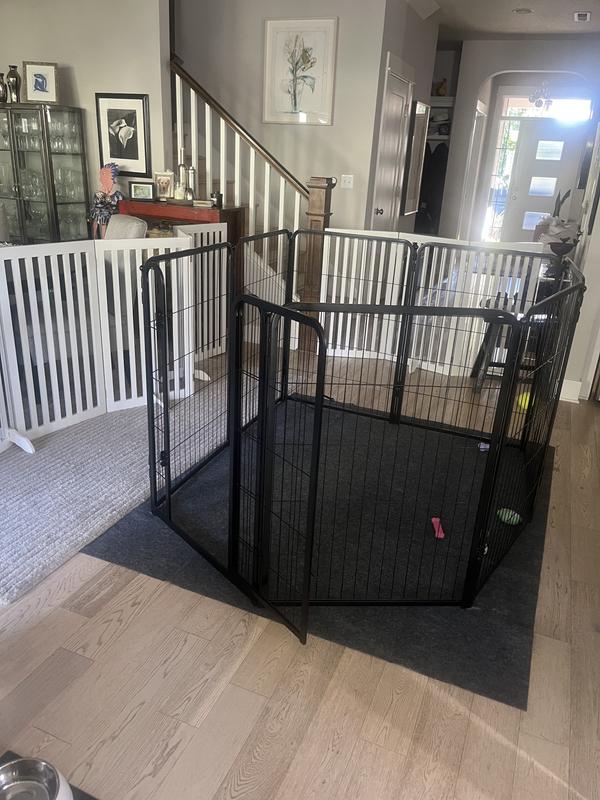 Perfect kennel❤️