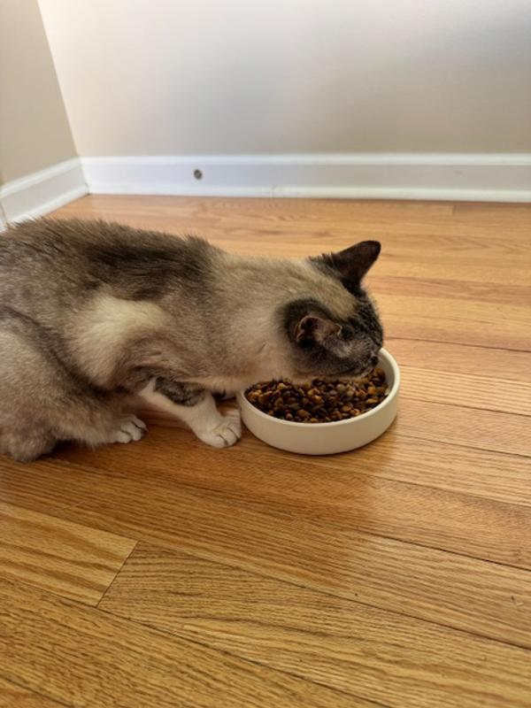 Tinkerbell is 15 and also needs weight gain.