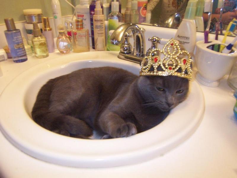 King Gandalf the Great