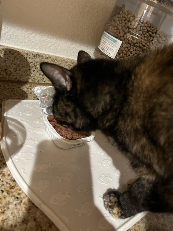 Eating straight from the little dish it comes in