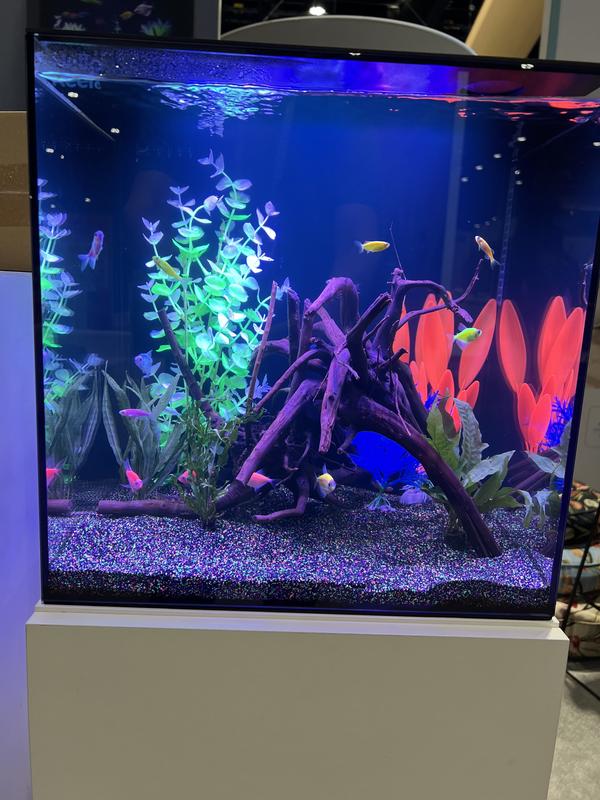 White Stand w/ HelloReef GloFish