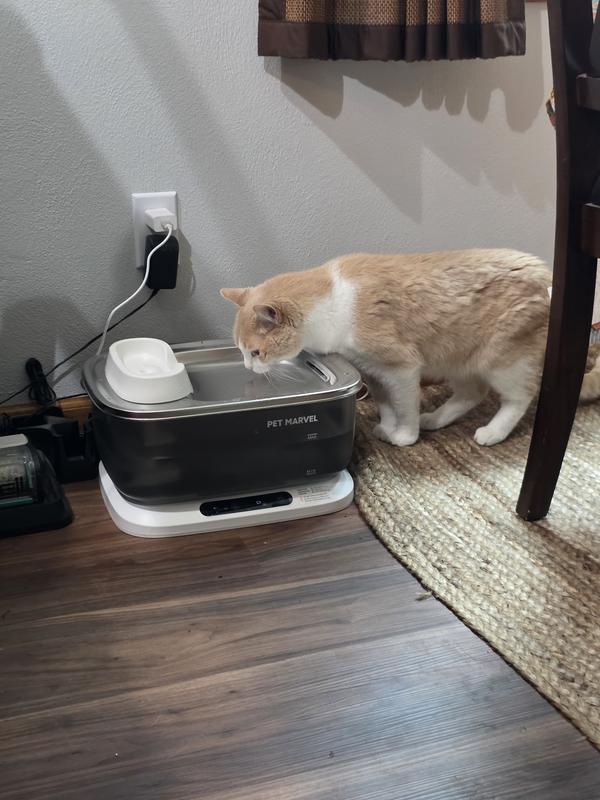 The spaz is drinking out of it!