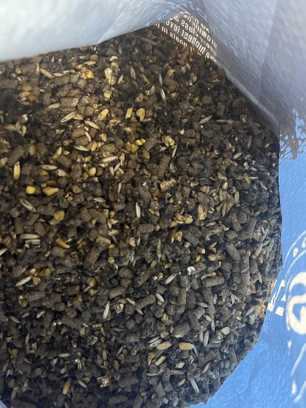 Smells and looks fresh upon opening