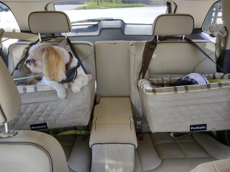 2-in-1 Cooling car seat for pets - MyHappyify