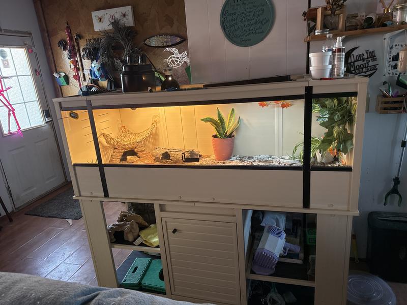 Cage and stand together