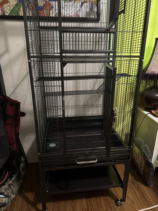 Product Reviews for EXOTIC NUTRITION Madagascar Sugar Glider Cage
