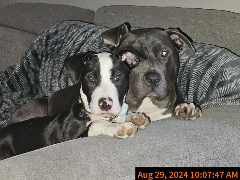 Our kids for lack of a better term.