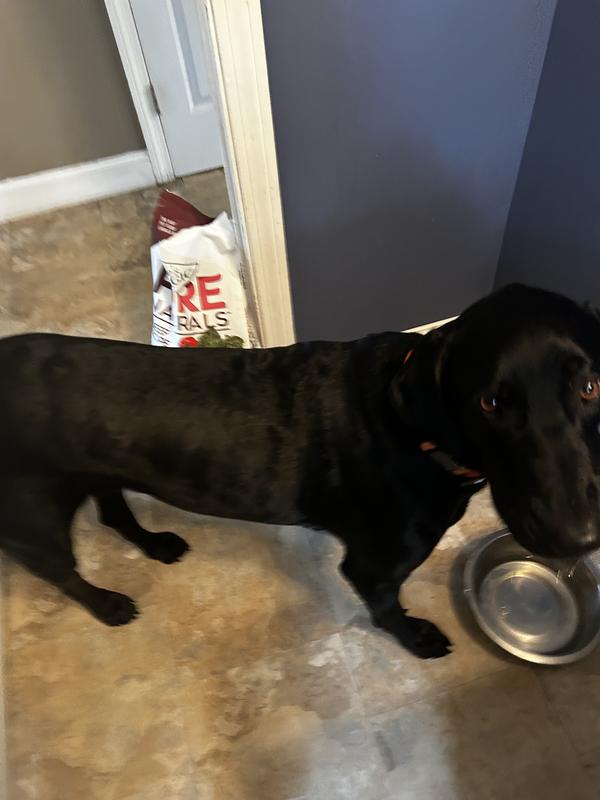 Loving his Pure Naturals!