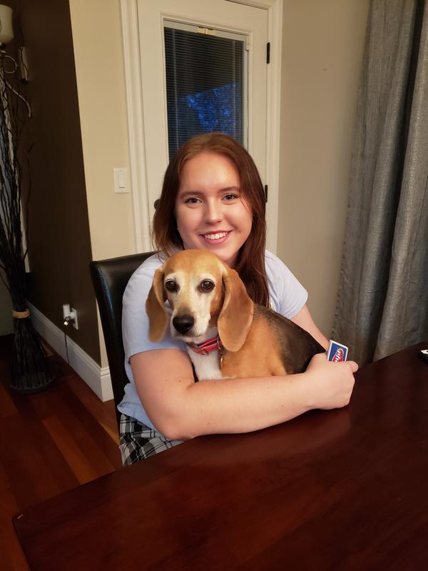"Lilli" the Beagle with her person