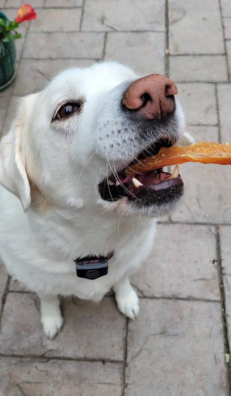 Yes put it in my facehole