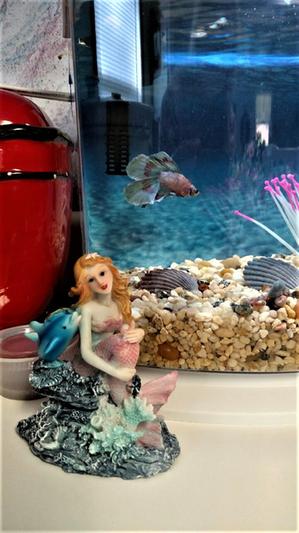 Mermaid fish tank decorations sale