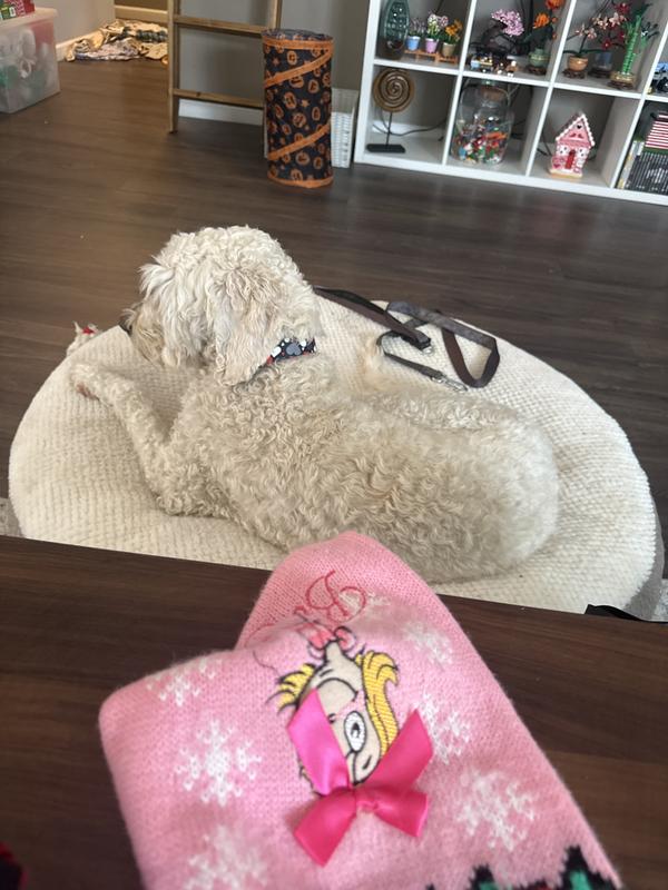 Korra, my big skinny girl