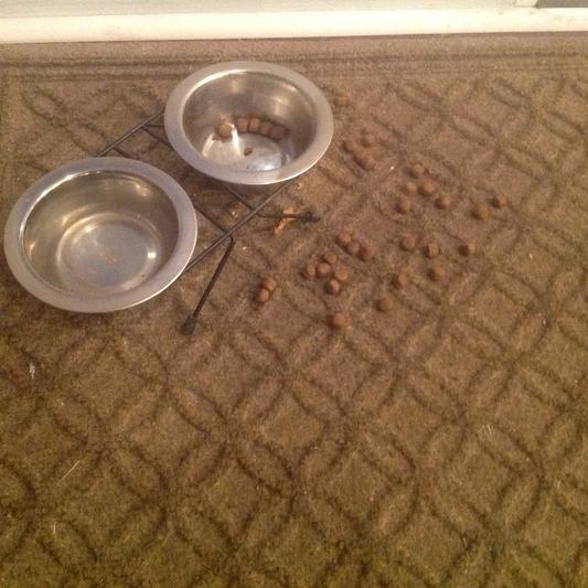 This is just at her bowl but she drops it all over the house