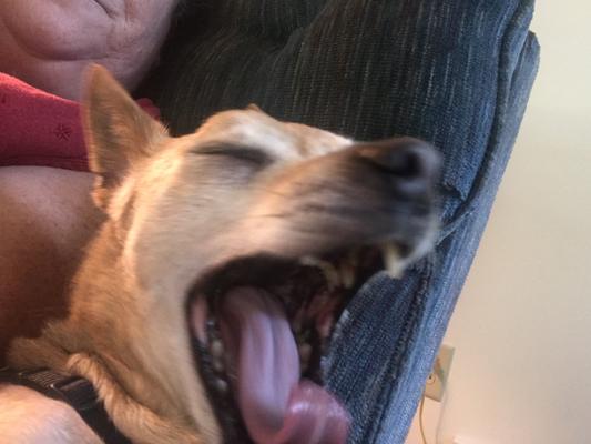 Total Satisfaction!!