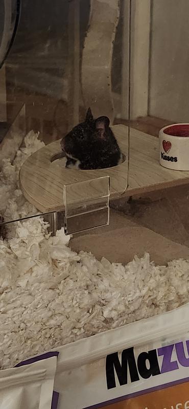 Marble in her sand bath