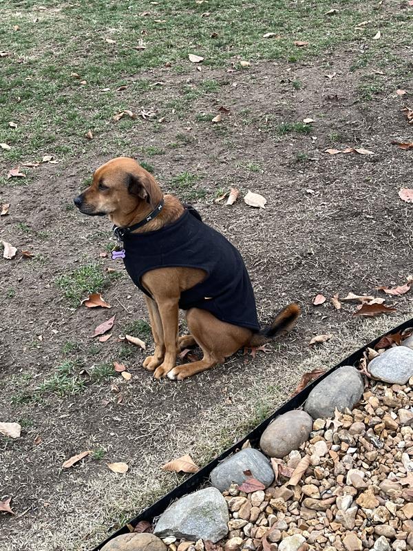 Styl’n this winter