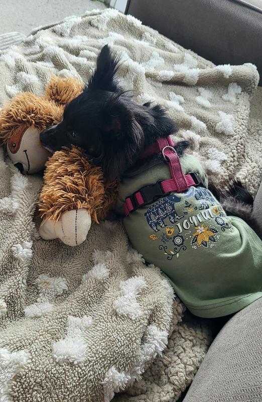 ChloeBean is resting