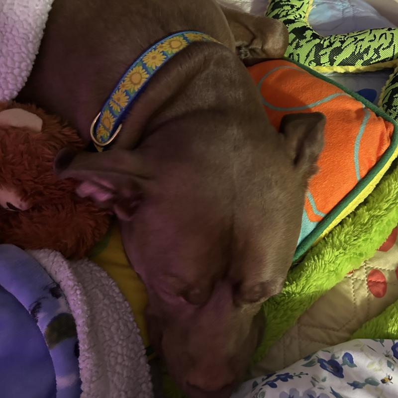 While taking a nap 😴