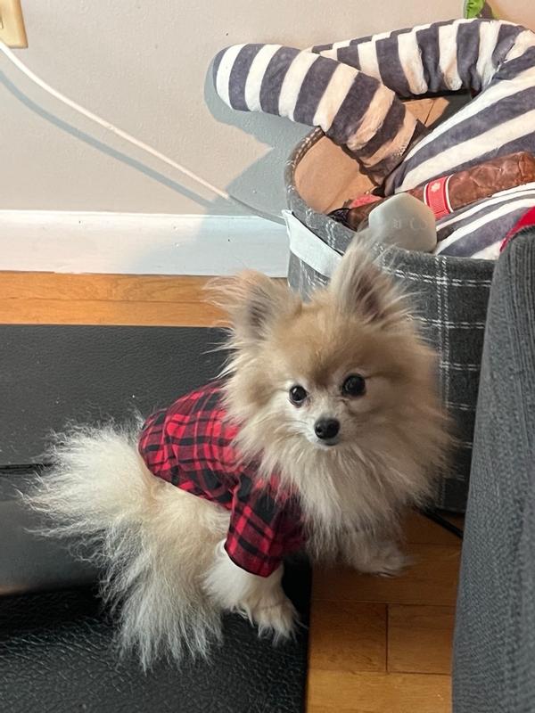 Puppy best sale flannel shirt