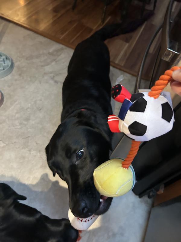 Phoenix jumped right in to play