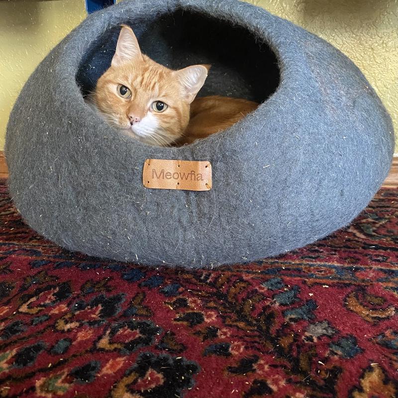 Chewy hotsell cat cave