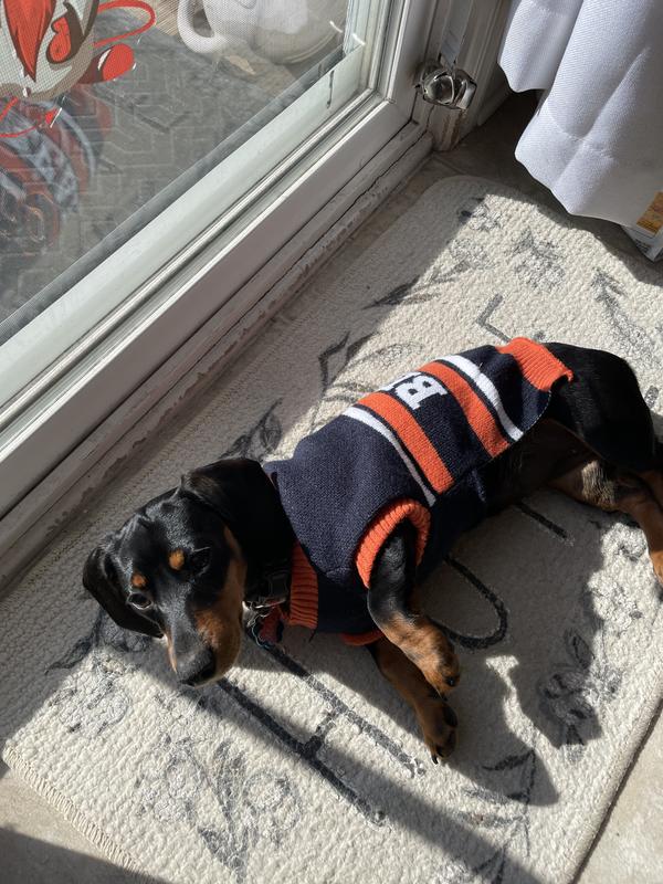 Fits my mini Dachshund perfect!