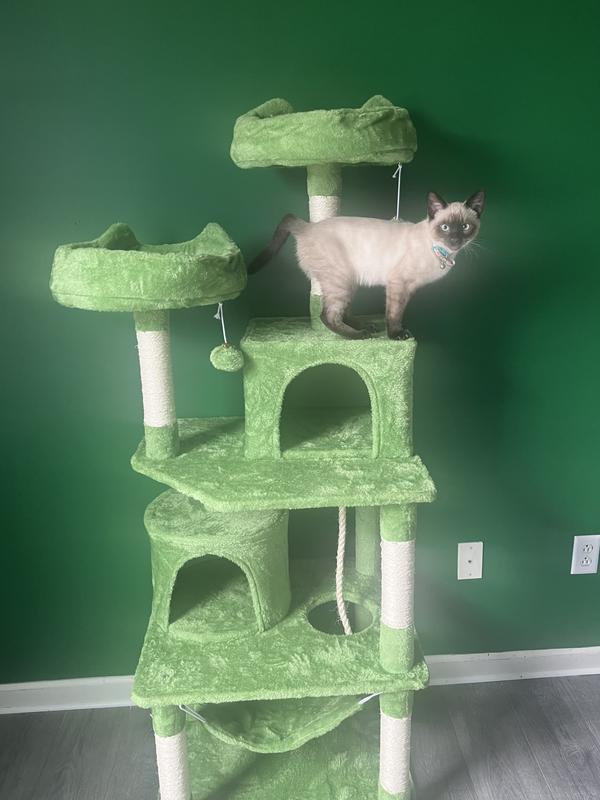 Panda posing on his cat tree