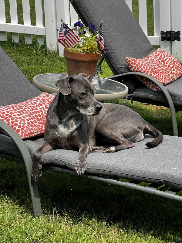 She likes to Bake in the sun too!
