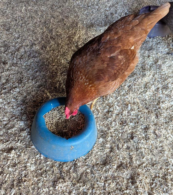 Acrobat calls first dibs.