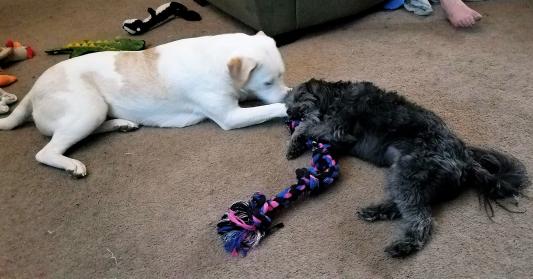 Marley's nice enough to share.