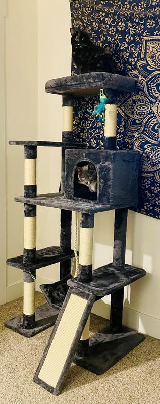 Odie and Raja living their best life!