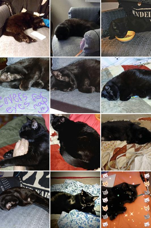 How beautiful for 23 yrs and 11 month!