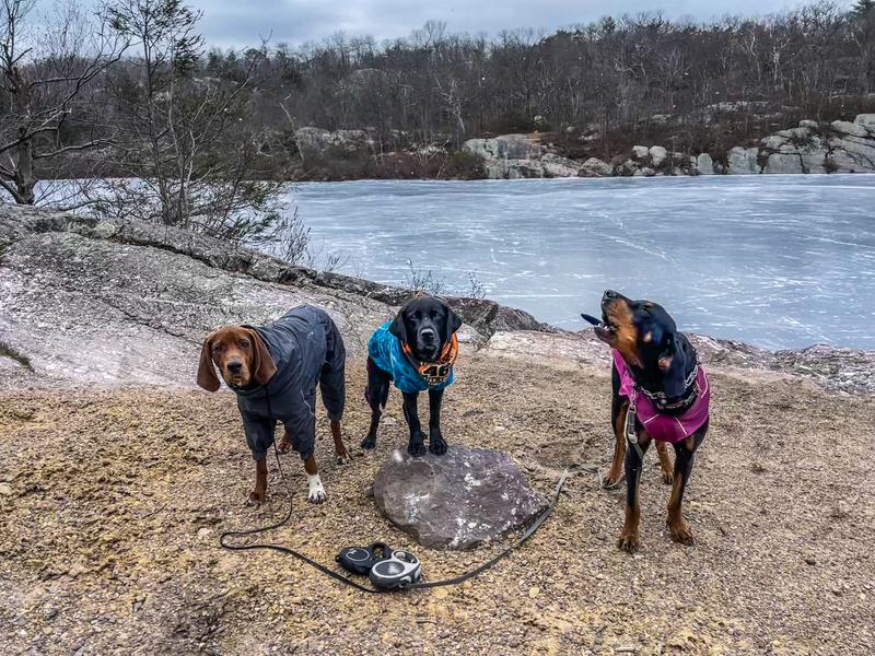 Hurtta Extreme Overall Insulated Dog Snowsuit, Blackberry