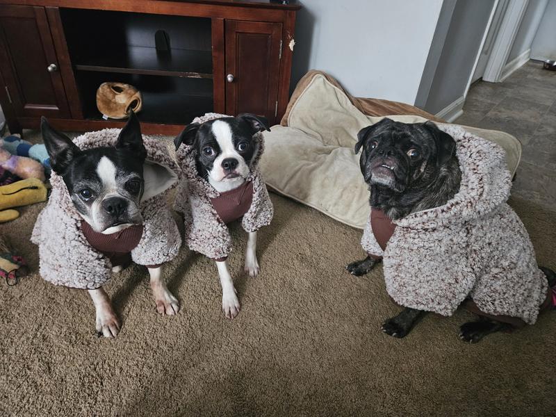 warm, soft, & cuddly